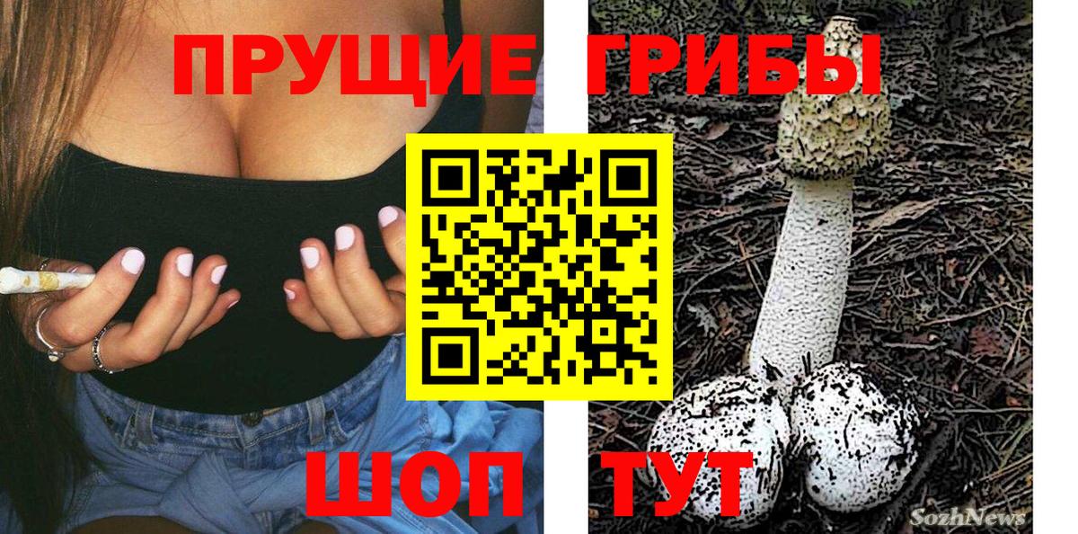КОКАИН Губкин