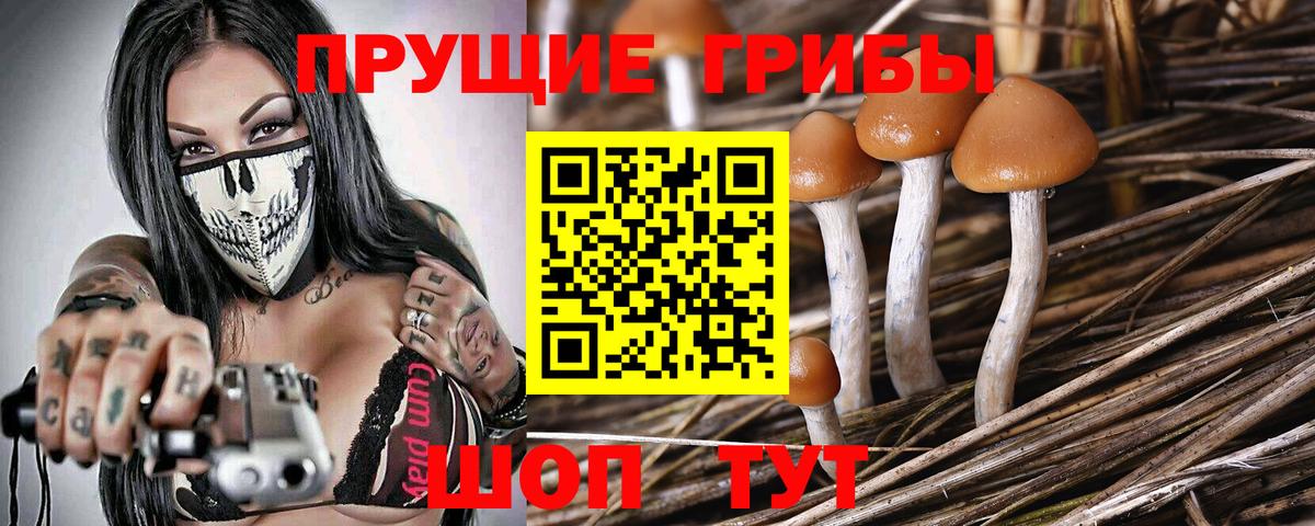 Губкин  Псилоцибиновые грибы прущие грибы  где продают наркотики  Вход с VPN  Галлюциногенные грибы Magic Shrooms 
