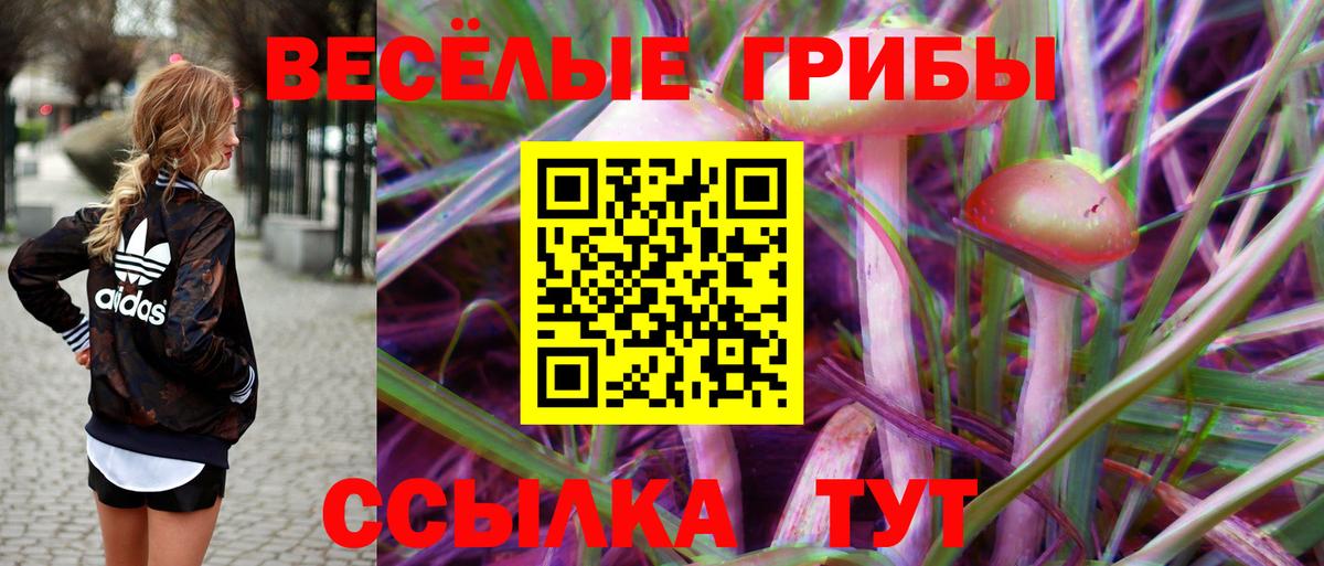 Псилоцибиновые грибы мухоморы Губкин